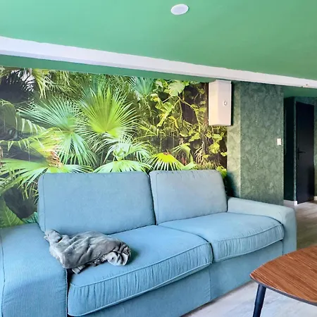 Tropical-netflix-parking * 두에